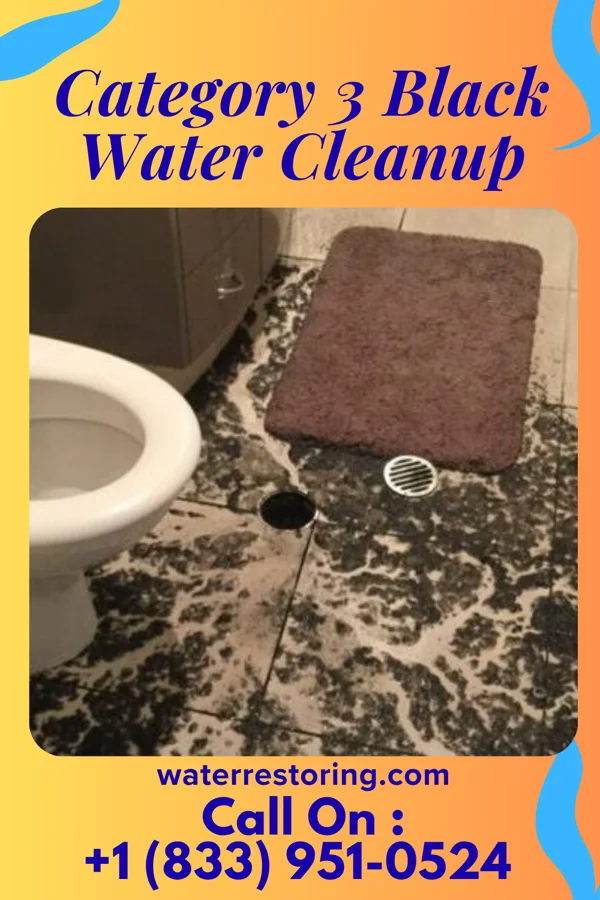 Category 3 Black Water Cleanup in Slater-Marietta, SC