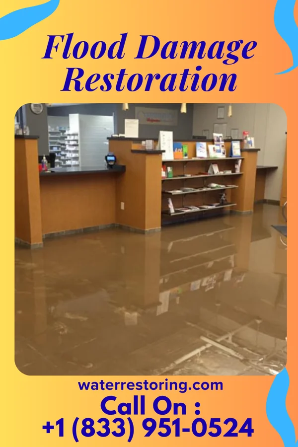Flood Damage Restoration in Slater-Marietta, SC
