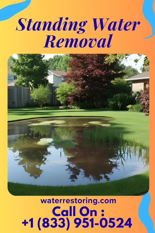 Standing Water Removal in Slater-Marietta, SC